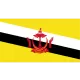 Logo Brunei Darussalam(U23)