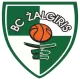 Logo Kauno Zalgiris
