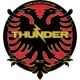 Logo Dandenong Thunder