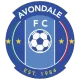 Logo Avondale FC