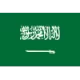 Logo Saudi Arabia(U23)