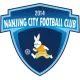 Logo Nanjing City