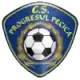 Logo ACS Progresul Pecica