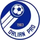 Logo Dalian Pro