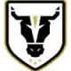 Logo Bulls Academy