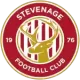 Logo Stevenage Borough