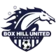 Logo Box Hill United Women's