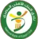 Logo National Bank Egypt SC