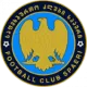 Logo Spaeri FC